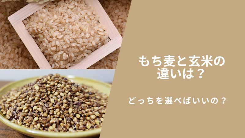 もち麦と玄米の違いは？