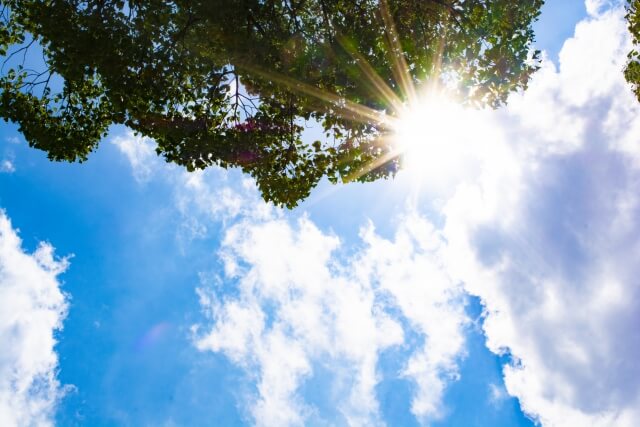 初夏の日差し