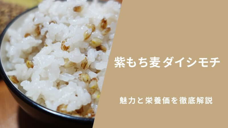 紫もち麦「ダイシモチ」の魅力と栄養価を徹底解説