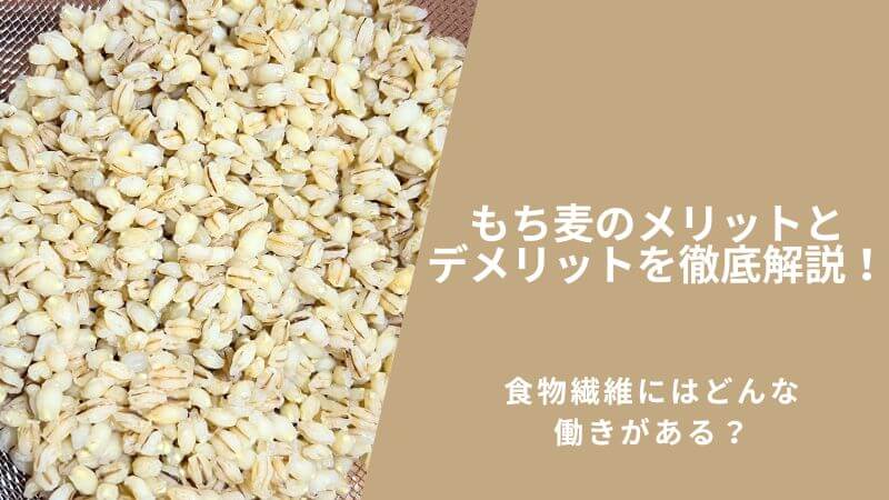 もち麦のメリットとデメリットを徹底解説！食物繊維にはどんな働きがある？