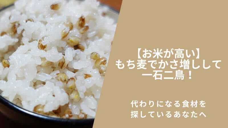 【お米が高い】もち麦でかさ増しして一石二鳥！代わりになる食材を探しているあなたへ