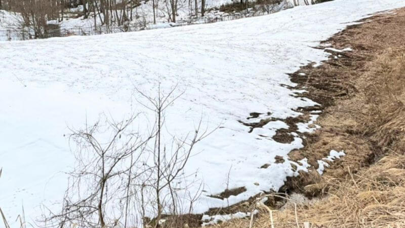 堆肥で融雪促進