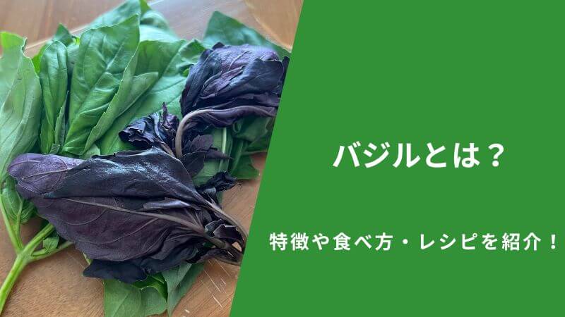 バジルとは?特徴や食べ方・レシピを紹介!