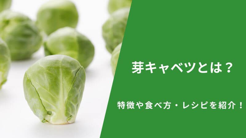 芽キャベツとは？特徴や食べ方・レシピを紹介！
