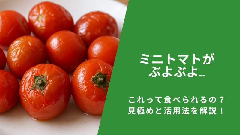 ミニトマトがぶよぶよ…これって食べられるの?見極めと活用法を解説!