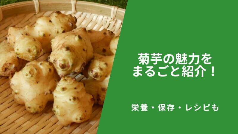 菊芋(キクイモ)の魅力をまるごと紹介!栄養・保存・レシピも