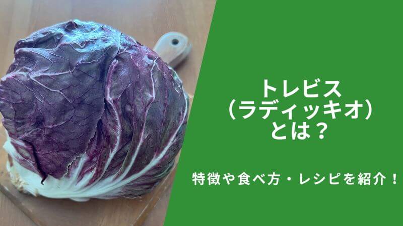 トレビス(ラディッキオ)とは?特徴や食べ方・レシピを紹介!