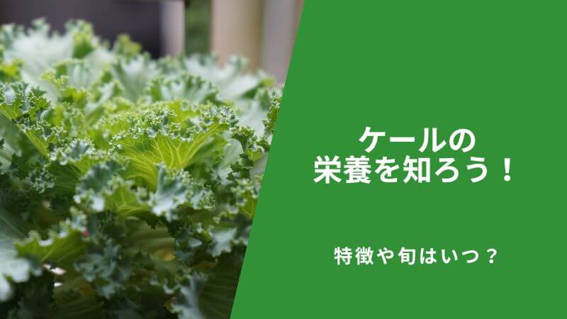 ケールの栄養を知ろう!特徴や旬はいつ?
