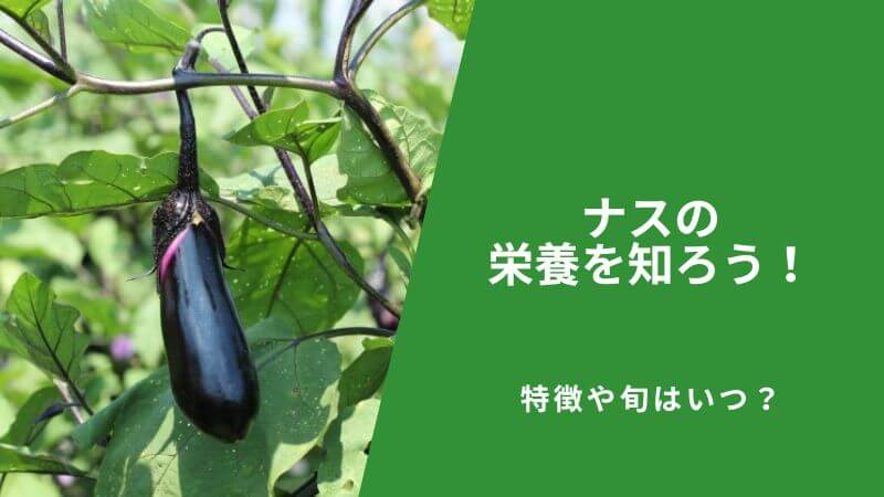 ナスの栄養を知ろう!特徴や旬、おいしい食べ方も紹介