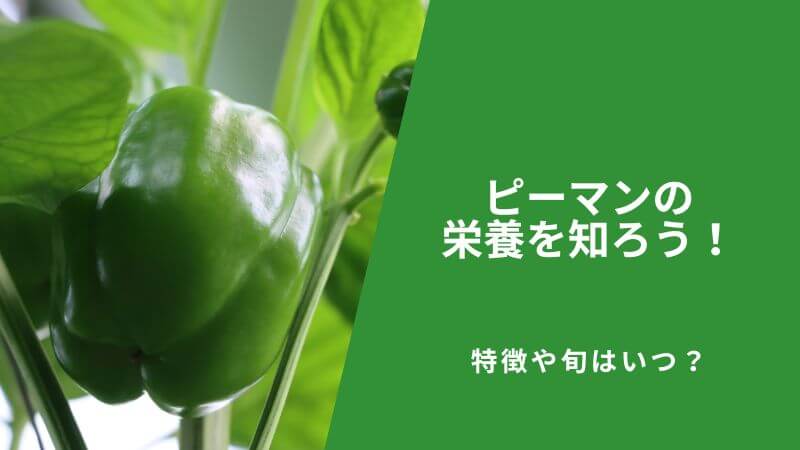 ピーマンの栄養を知ろう！特徴や旬、おいしい食べ方も紹介