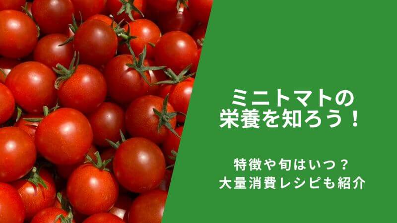 ミニトマトの栄養を知ろう!特徴や旬はいつ?大量消費レシピも紹介