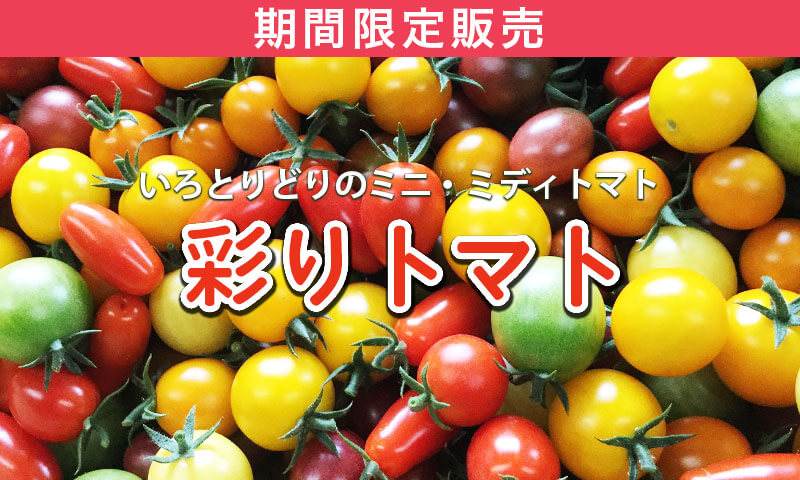 2025年彩りトマト販売開始しました!