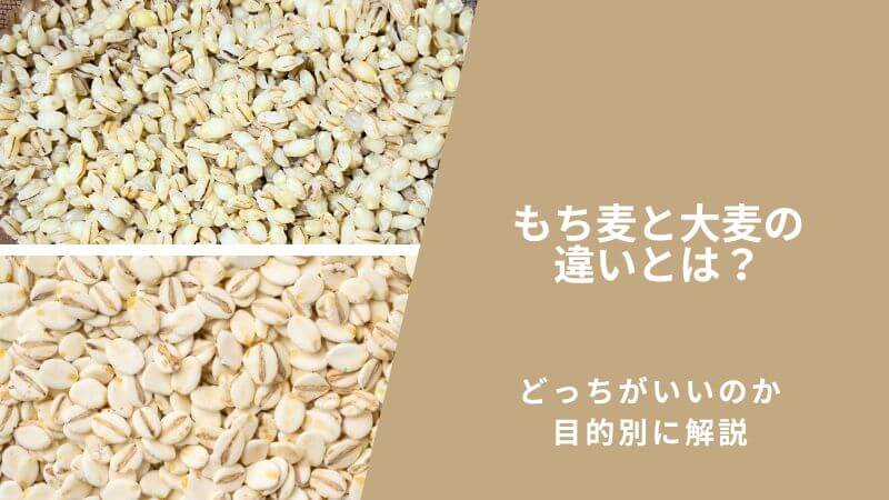 もち麦と大麦の違いとは？どっちがいいのか目的別に解説