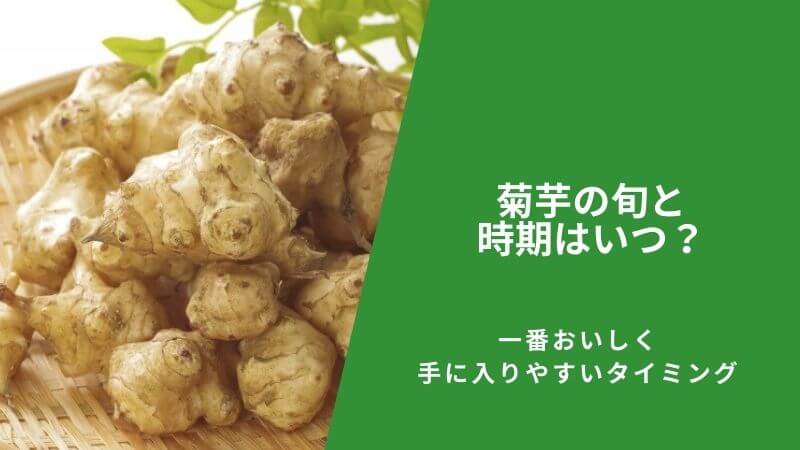 菊芋の旬と時期はいつ？一番おいしく手に入りやすいタイミング