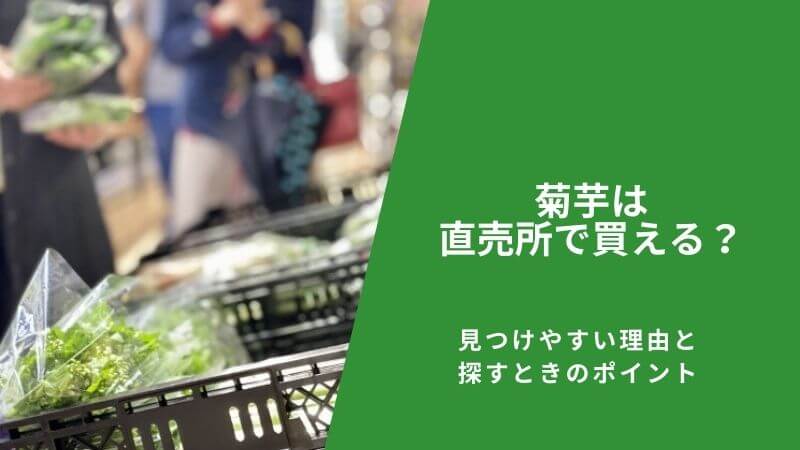 菊芋は直売所で買える？見つけやすい理由と探すときのポイント