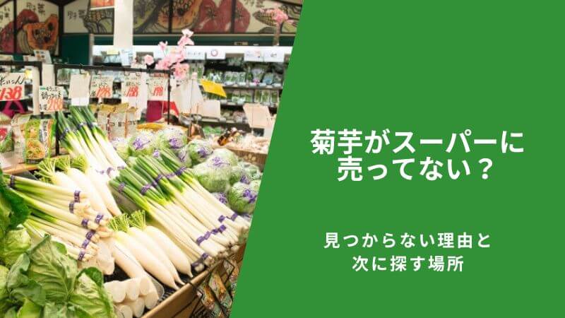 菊芋がスーパーに売ってない？見つからない理由と次に探す場所