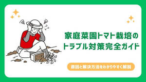 家庭菜園トマト栽培のトラブル対策まとめ|原因と解決方法をわかりやすく解説